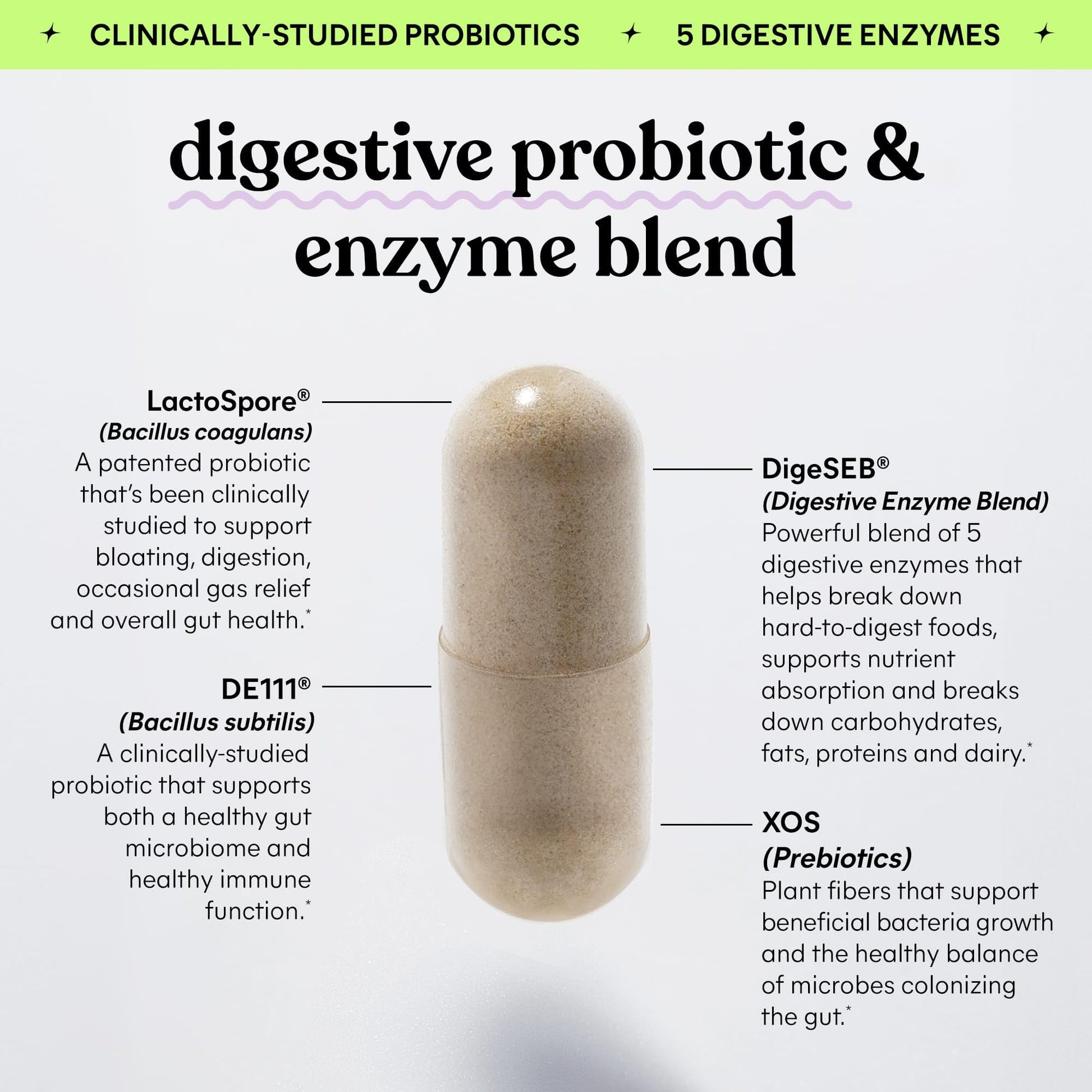 Lemme Debloat prebiotic probiotic daily capsules next to its lifestyle packaging.