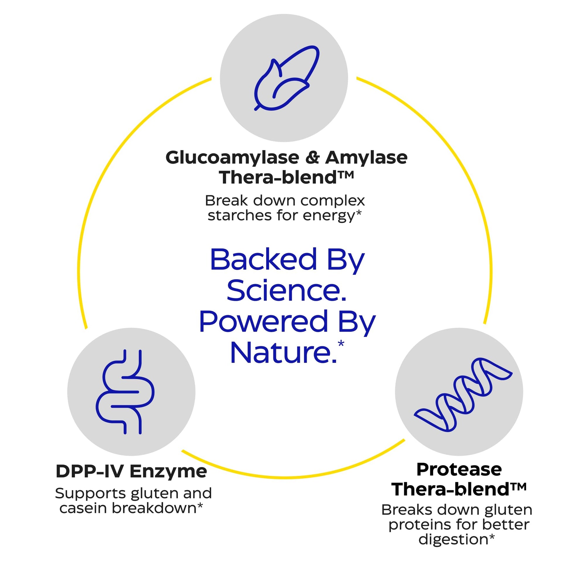 Enzymedica GlutenEase vegan capsules for gluten and casein protein breakdown
