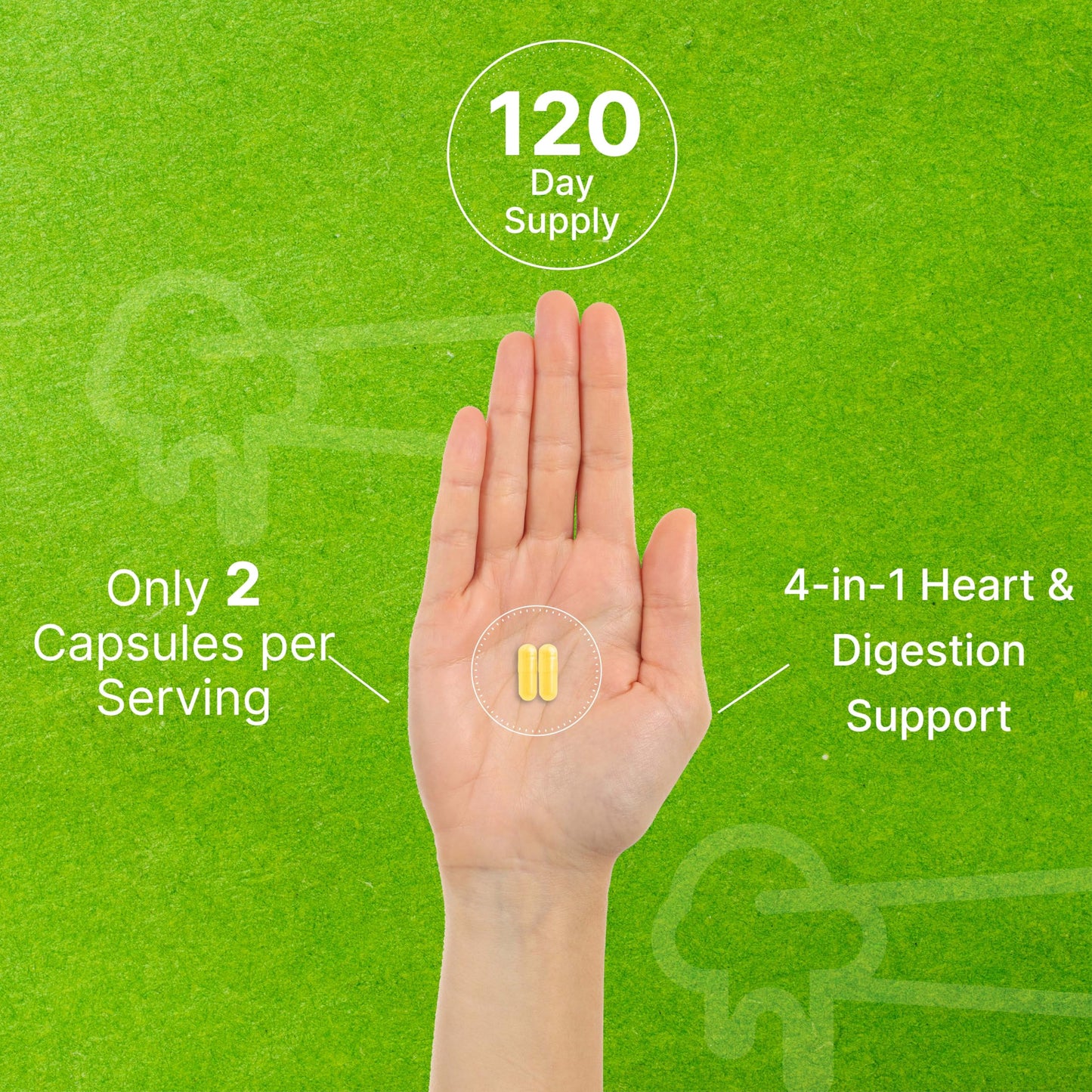 Vegetarian capsule size and texture details for Nattokinase 4000 FU
