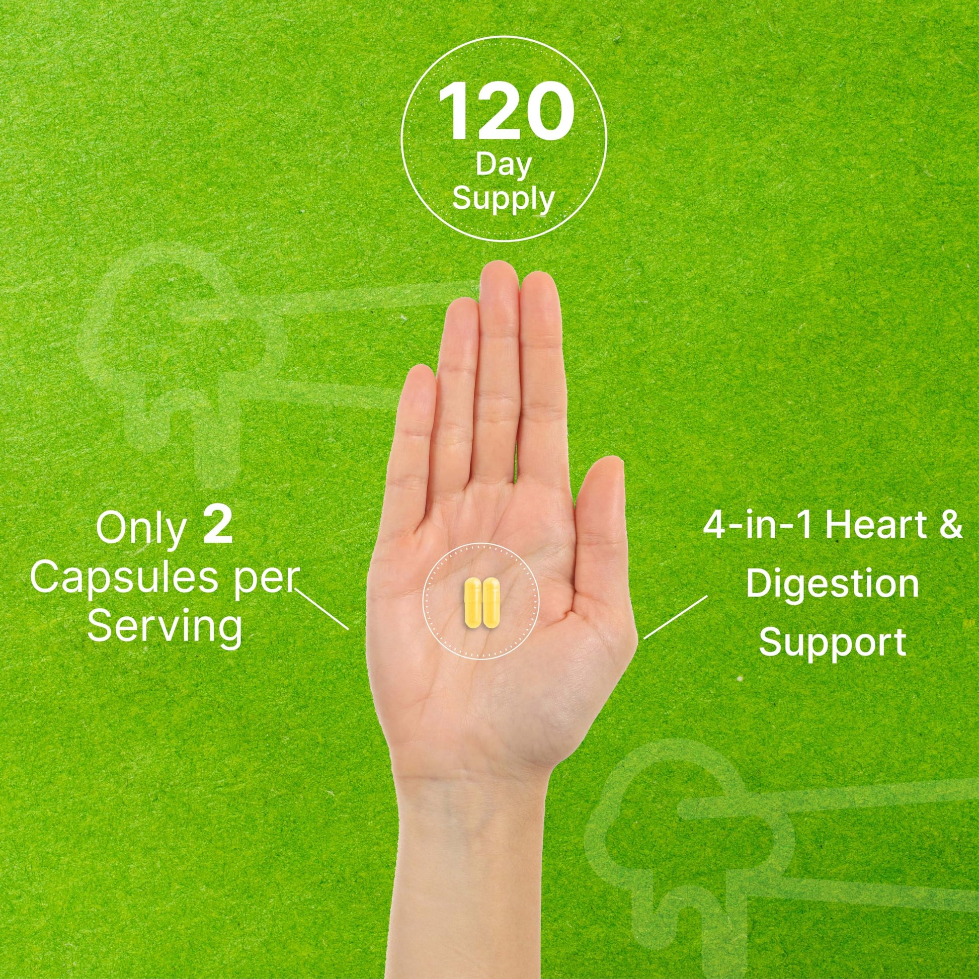 Vegetarian capsule size and texture details for Nattokinase 4000 FU