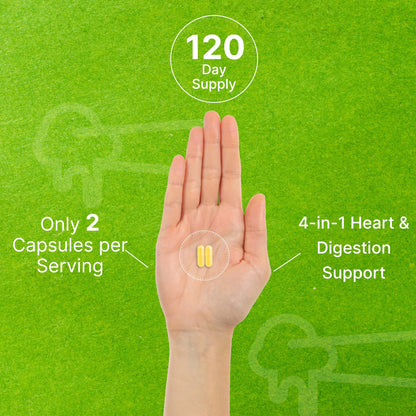 Vegetarian capsule size and texture details for Nattokinase 4000 FU