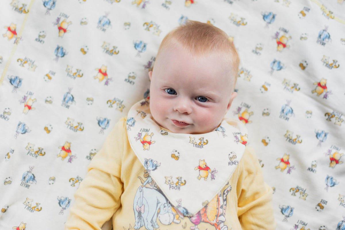 Close up of Winnie the Pooh baby Sleep N Play coverall graphic