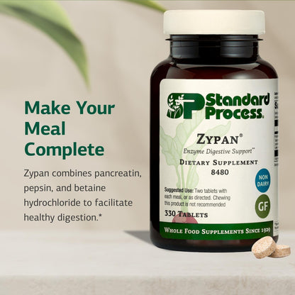 Back label of Standard Process Zypan showing pancreatin and betaine hydrochloride facts.