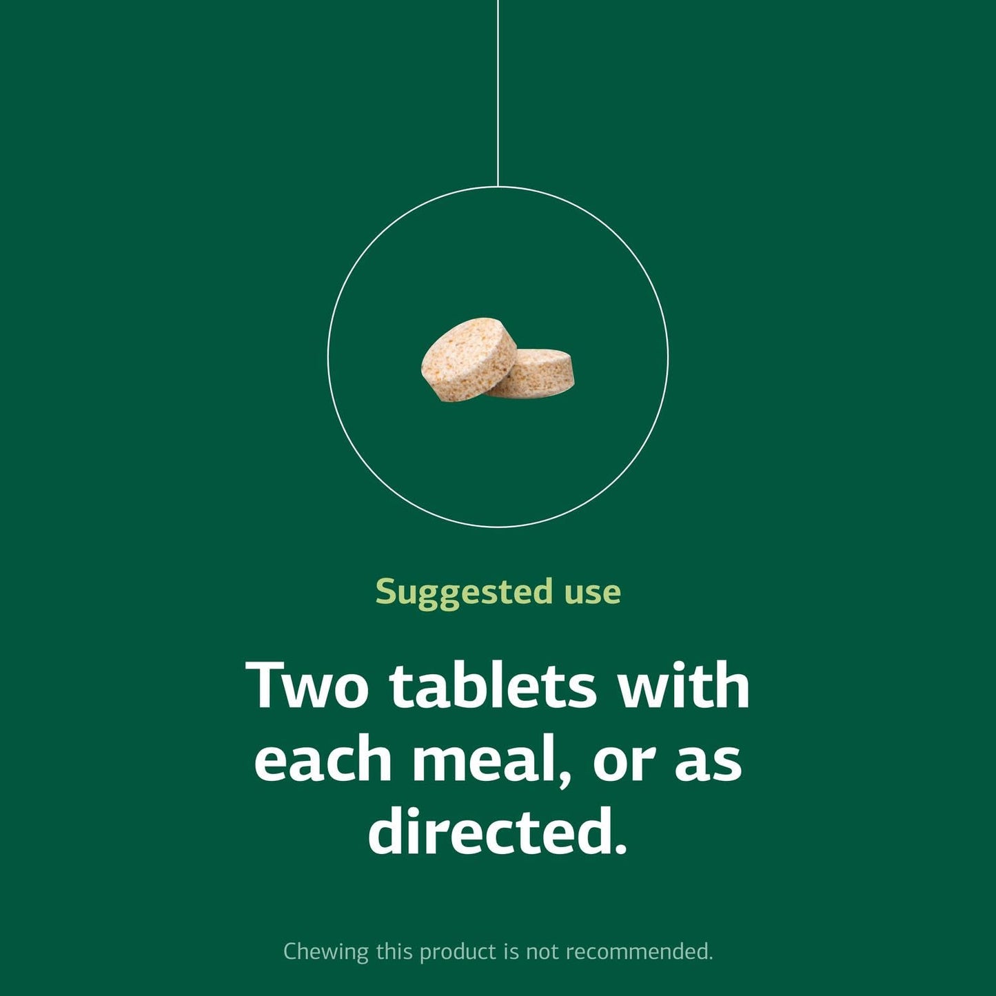 Authentic imported Standard Process Zypan tablets container for macronutrient digestion.