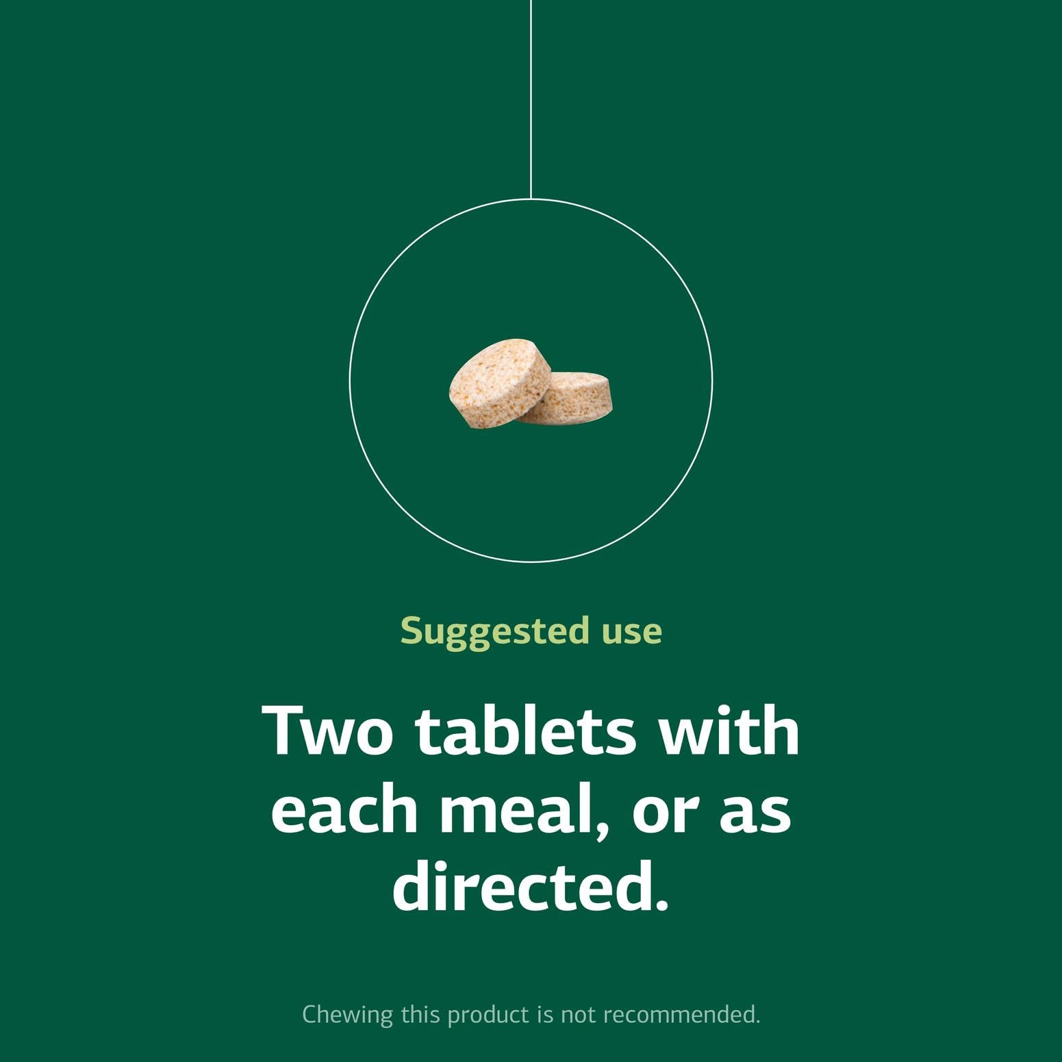 Authentic imported Standard Process Zypan tablets container for macronutrient digestion.