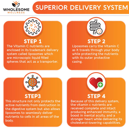 Fat soluble vitamin C liposomal formula capsule dimensions and clear vegetarian ingredients list