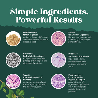 Natures Craft digestive enzymes with ox bile side panel with safety warnings and details