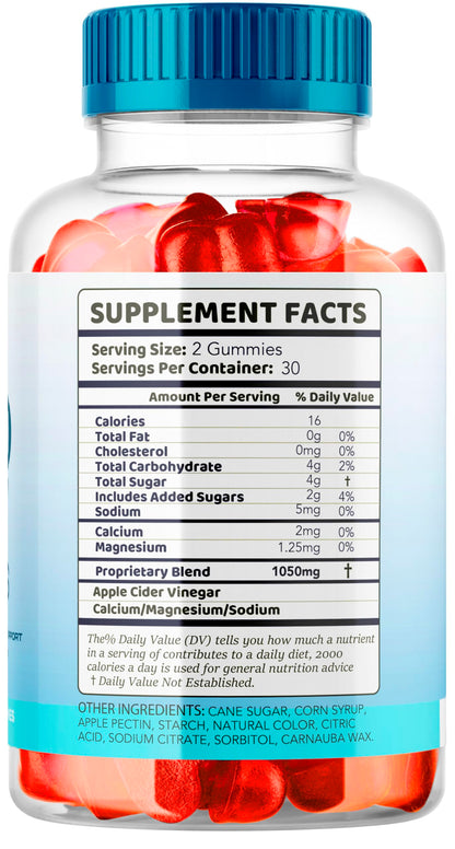 Livorka advanced formula apple cider vinegar sixty count bottle pair