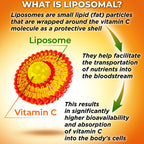 Supplements Studio Liposomal Vitamin C capsules close up nutrition facts