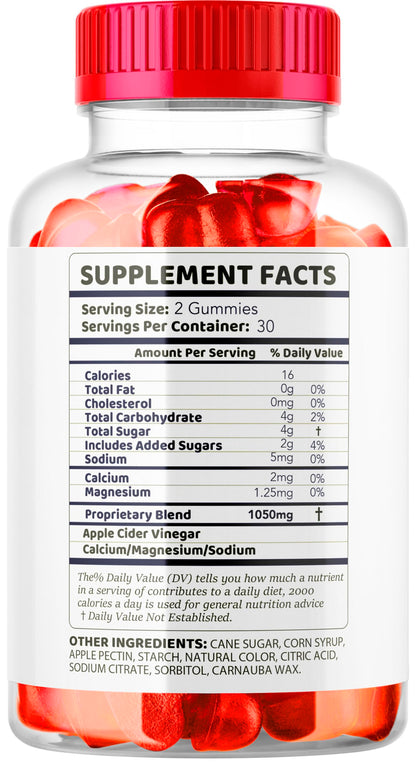 LIVORKA advanced formula apple cider vinegar gummies for daily energy metabolism