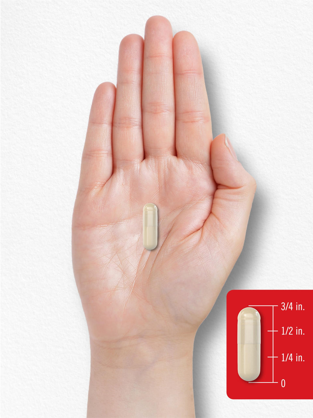 Group display of Carlyle Vitamin K2 100 mcg capsules bottle ready for daily use