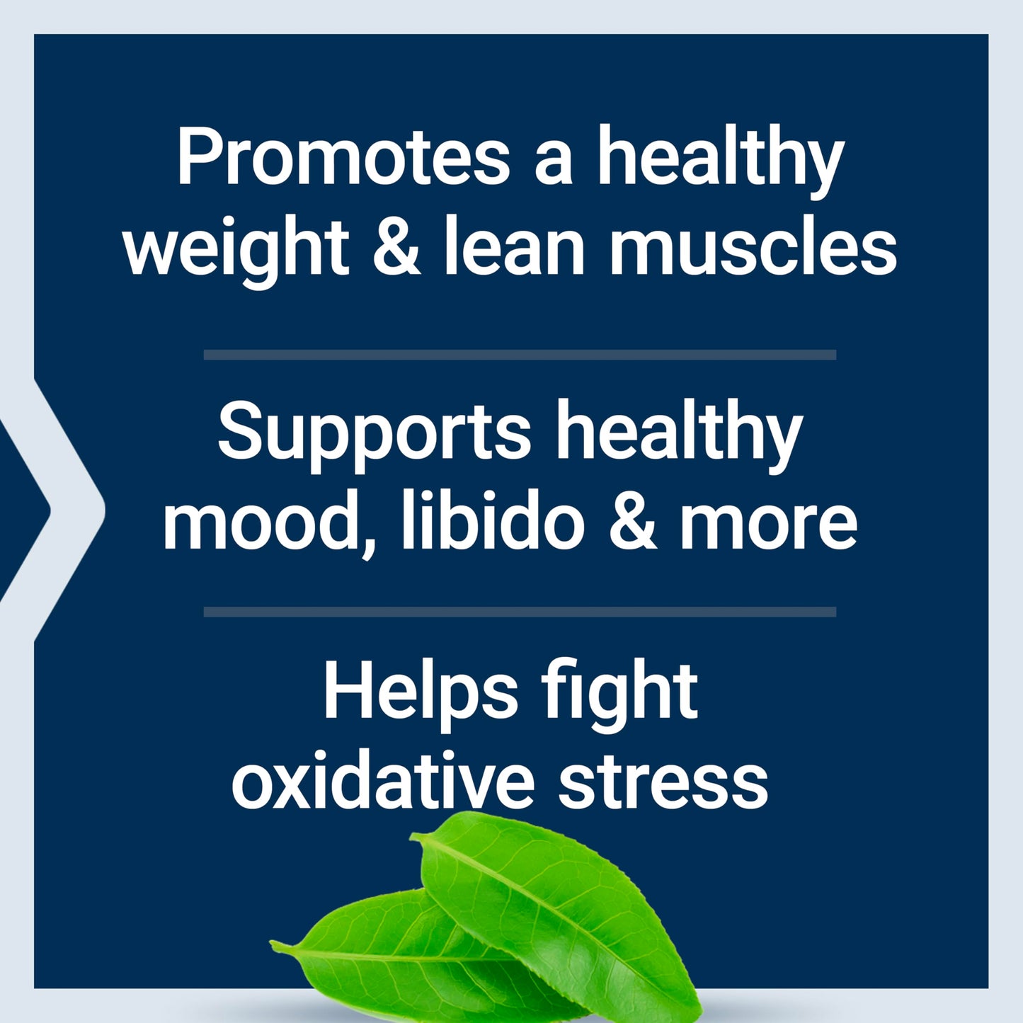 Authentic USA imported Life Extension DHEA Complete capsules bottle showcasing premium ingredients