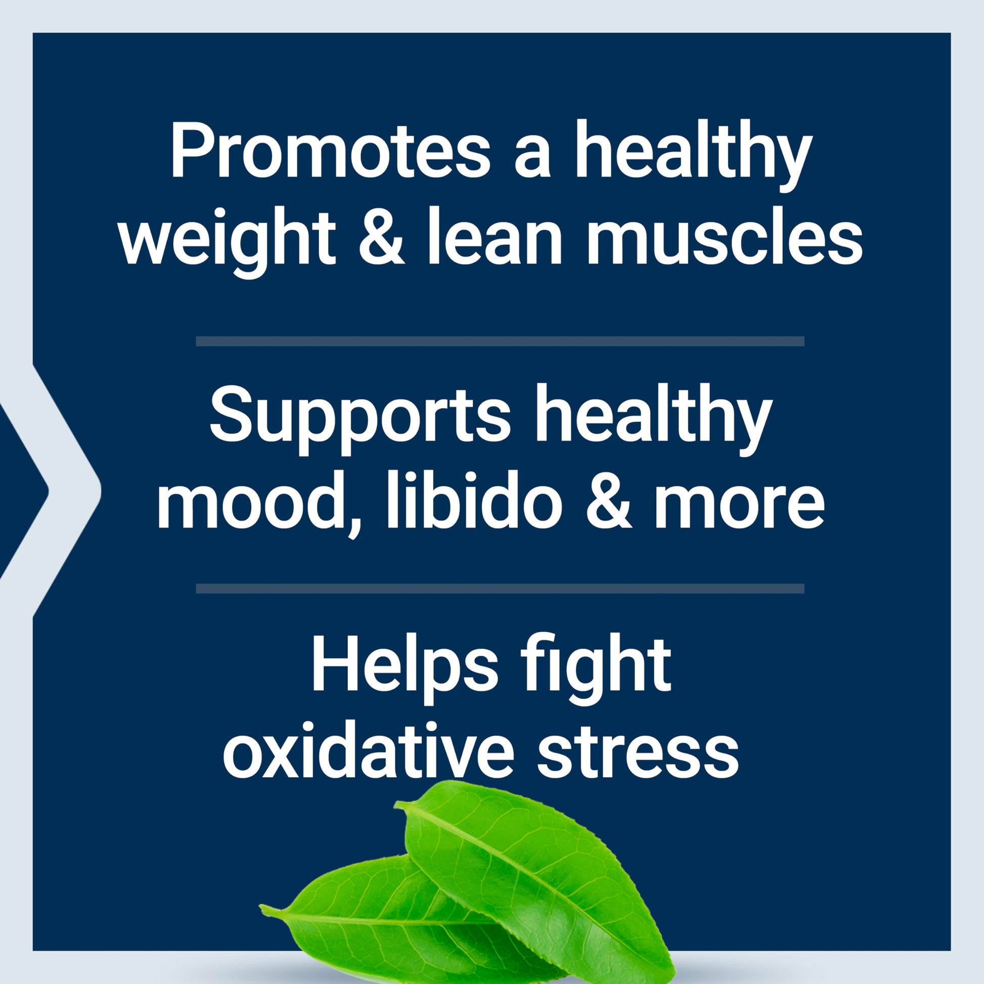 Authentic USA imported Life Extension DHEA Complete capsules bottle showcasing premium ingredients