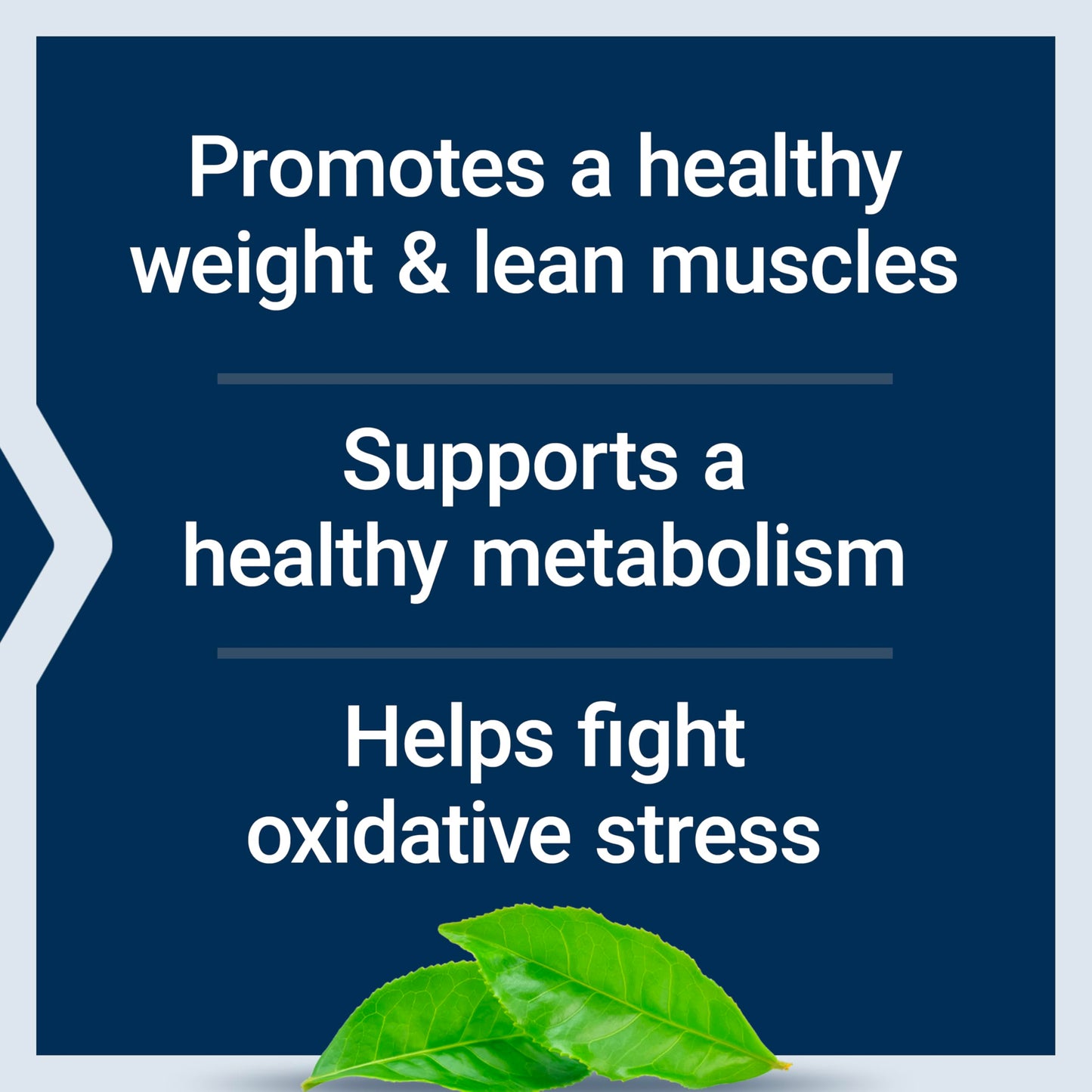 Life Extension non GMO gluten free 7 keto dhea metabolite capsules for metabolic rate boost