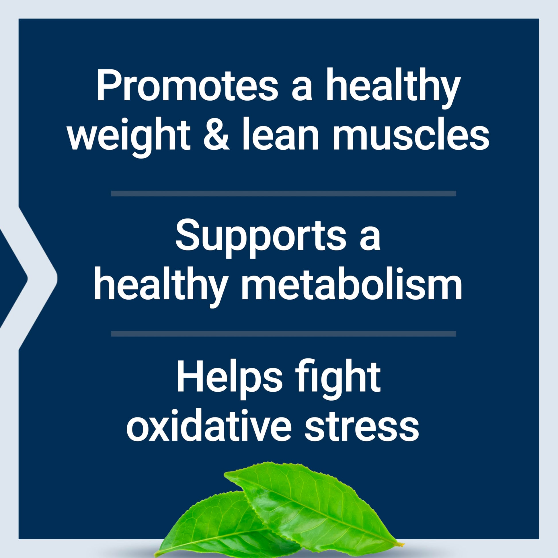 Life Extension non GMO gluten free 7 keto dhea metabolite capsules for metabolic rate boost