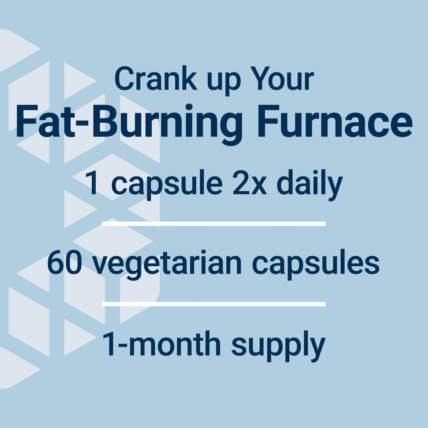 Premium fat burning and lean muscle maintenance 7 keto dhea dietary supplement close up