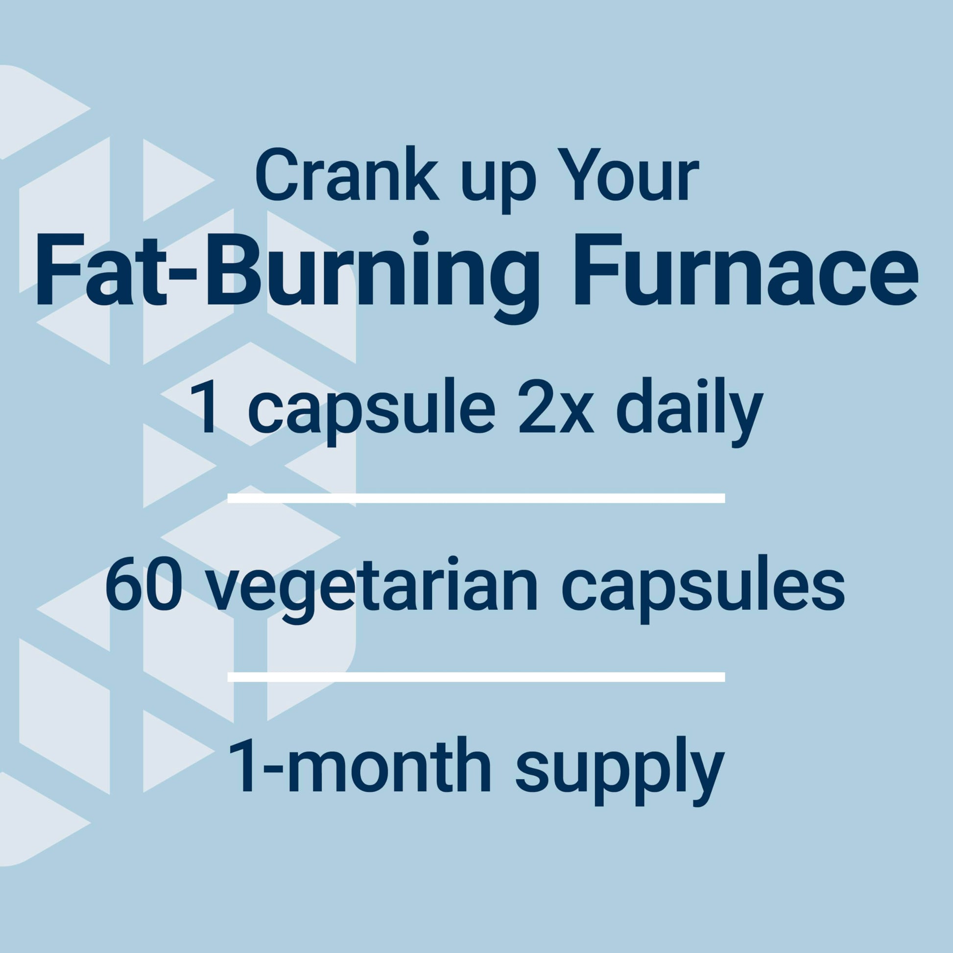 Premium fat burning and lean muscle maintenance 7 keto dhea dietary supplement close up
