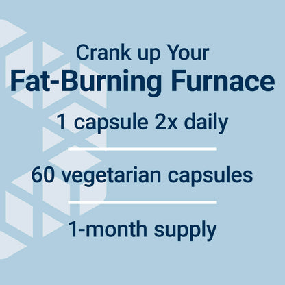 Premium fat burning and lean muscle maintenance 7 keto dhea dietary supplement close up