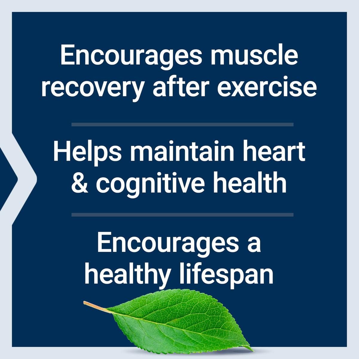 Life Extension non-GMO taurine capsules for cardiovascular wellness