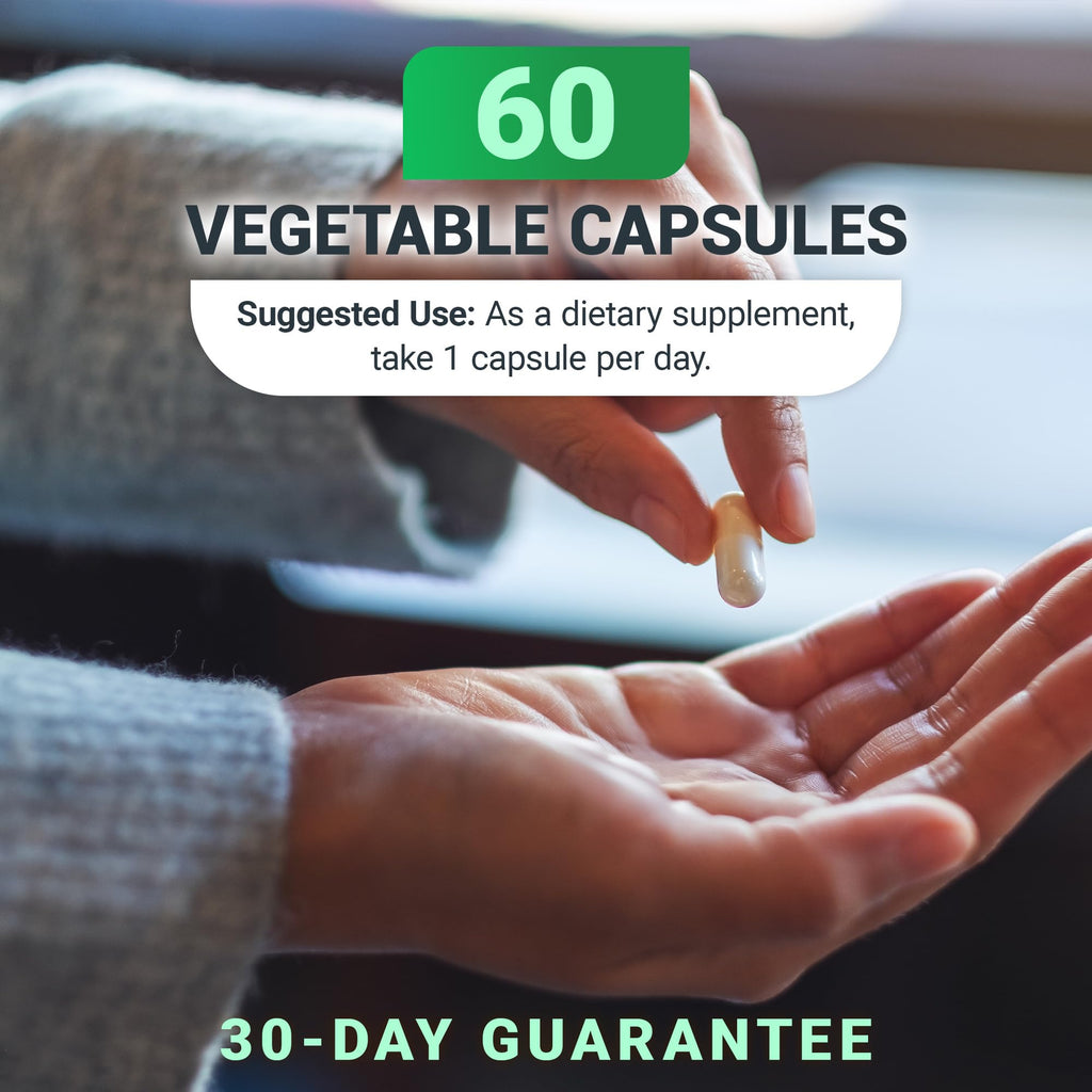 Full range presentation of Dr. Berg Nutritionals B1 B6 B12 complex showing capsule count and daily health benefits