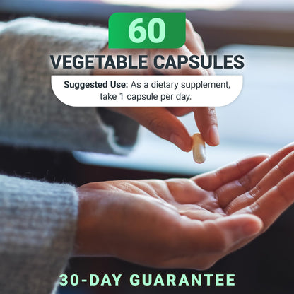 Full range presentation of Dr. Berg Nutritionals B1 B6 B12 complex showing capsule count and daily health benefits