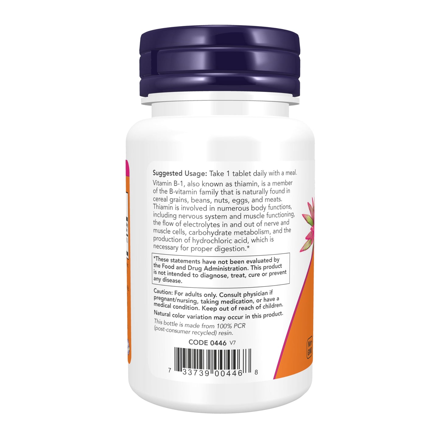 Side profile of authentic NOW Foods Vitamin B1 100 tablets bottle showing vegetarian attributes