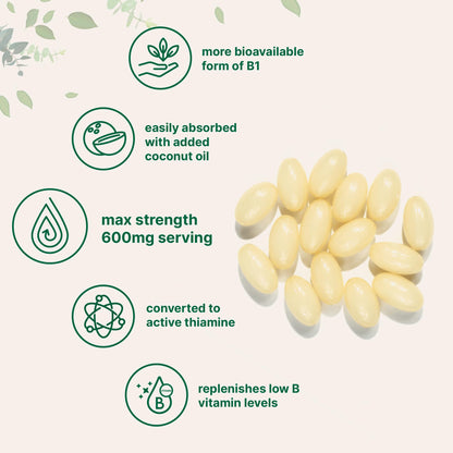 Close up view of the non GMO and gluten free verification seals on the premium vitamin B1 supplement.