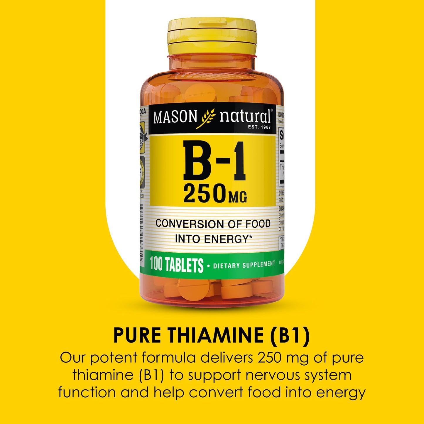 High potency thiamine 250 milligrams tablets by Mason Natural for healthy nervous system support.