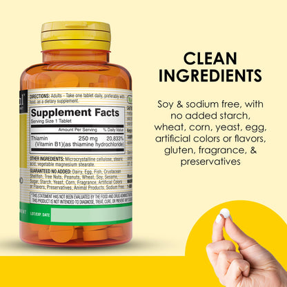 Close up view of the easy to swallow vegetarian tablets from the Mason Natural B1 supplement bottle.