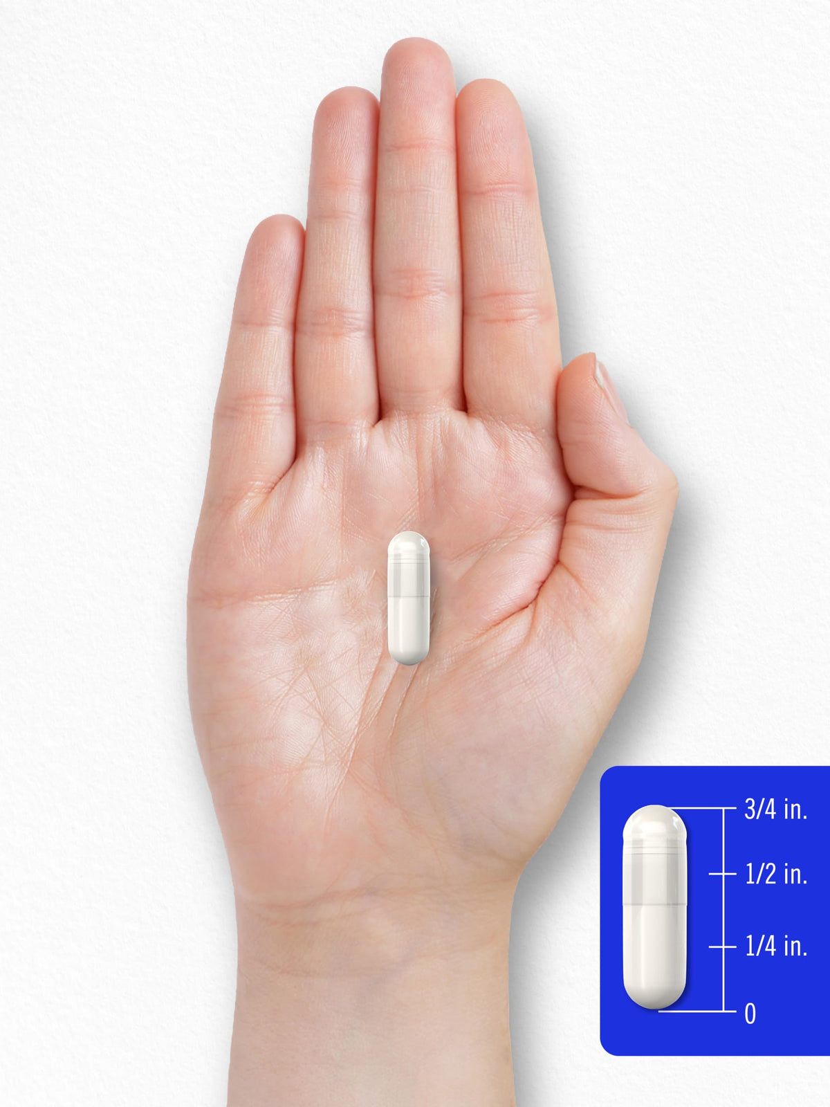 Lifestyle arrangement of Carlyle Benfotiamine bottle for daily wellness routine