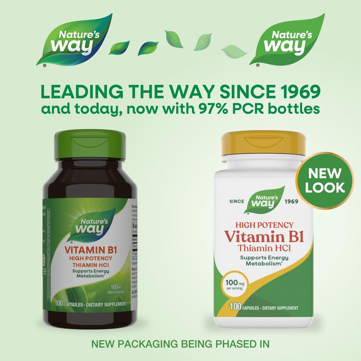 Nature's Way Vitamin B1 supplement facts and nutritional information panel.