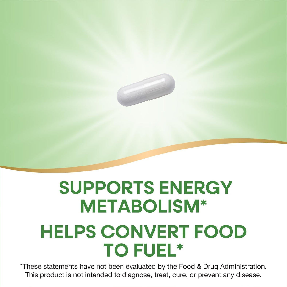 Nature's Way Vitamin B1 ingredients and purity statement label.