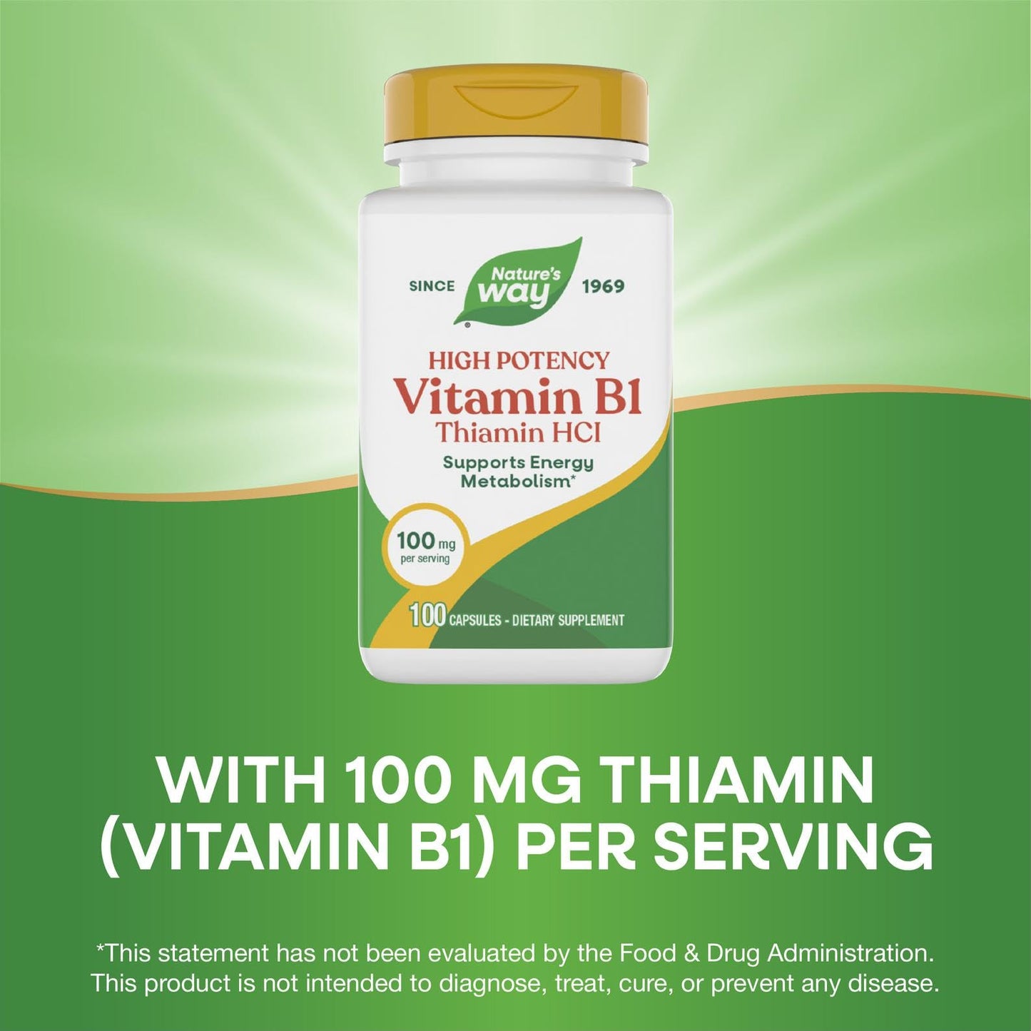 Nature's Way Thiamin HCl 100 mg supplement facts and clean ingredient panel