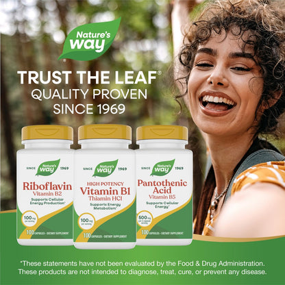 Nature's Way brand premium non GMO gluten free Thiamine Hydrochloride bottle