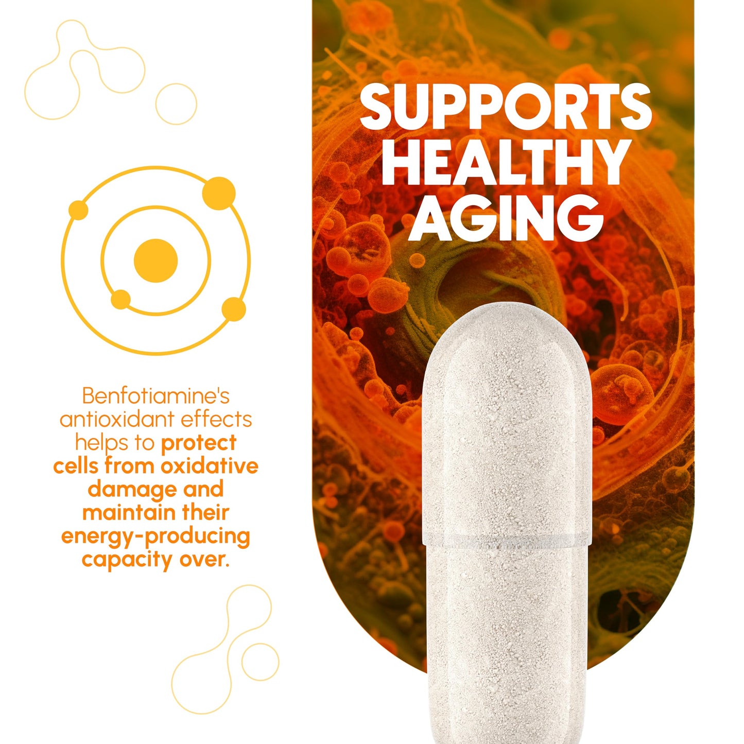 Authentic imported Zenavea dietary supplement bottle displaying manufacturing compliance standards