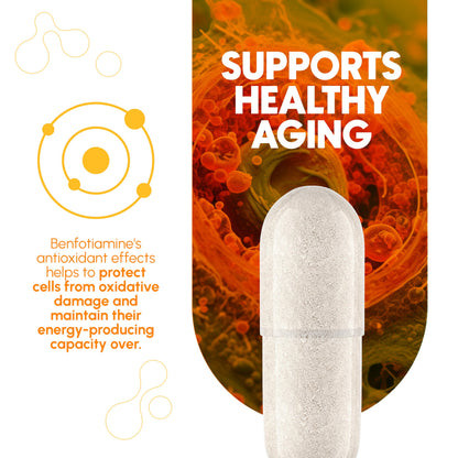 Authentic imported Zenavea dietary supplement bottle displaying manufacturing compliance standards