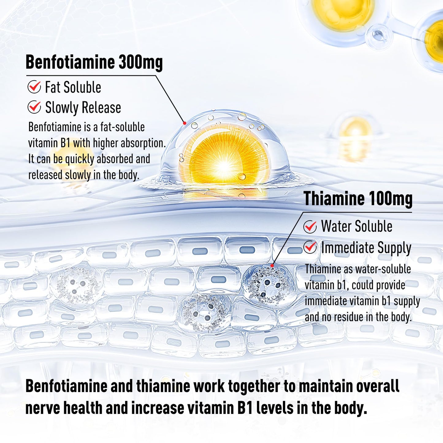 Close up view of the vegan and non GMO seals on the GREABBY Vitamin B1 bottle