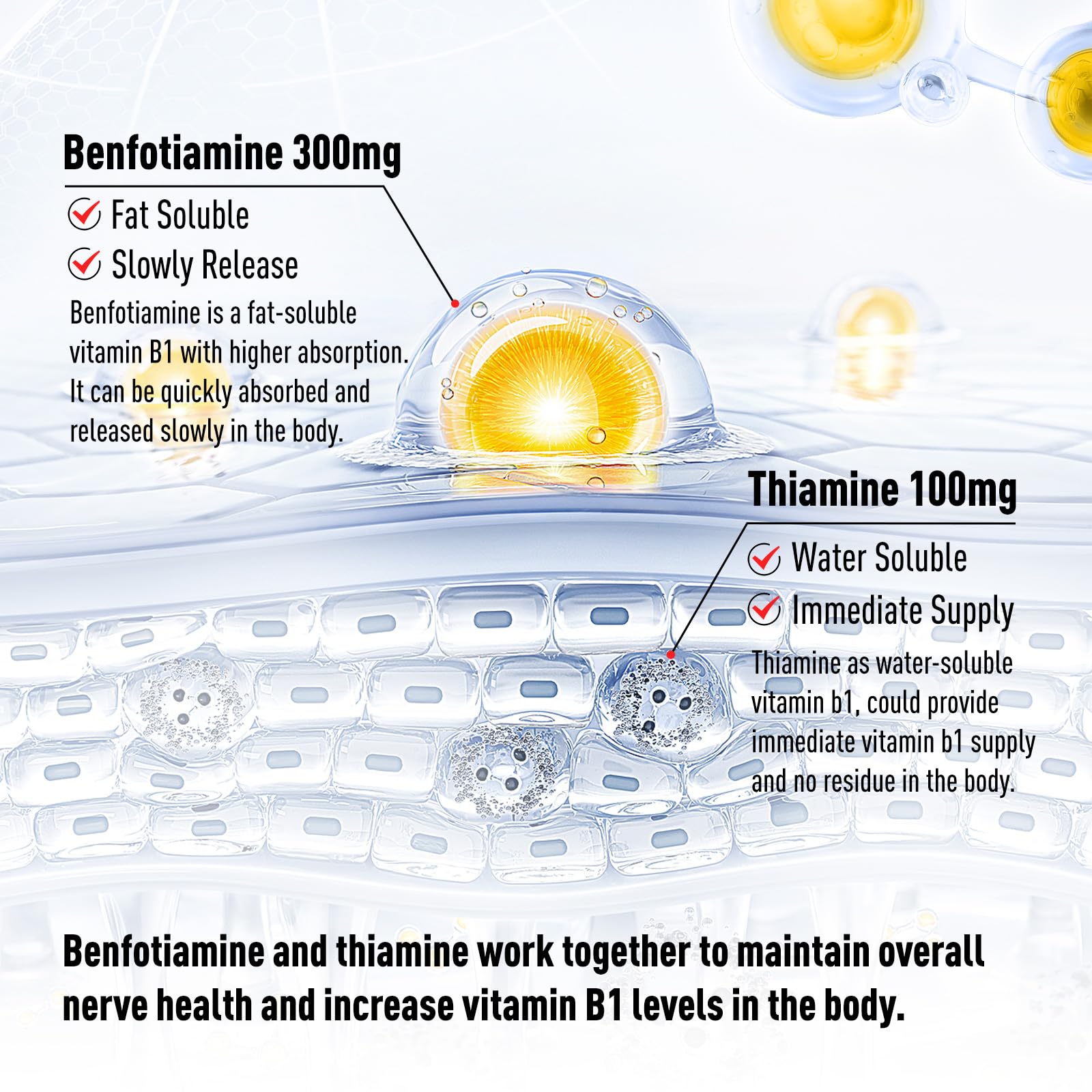 Close up view of the vegan and non GMO seals on the GREABBY Vitamin B1 bottle