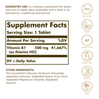 Solgar Vitamin B1 500mg nutritional facts supplement panel closeup