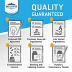 One Elevated professional grade daily methylation support supplement overview