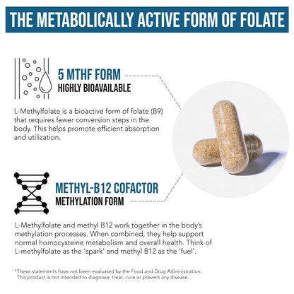 Close up view of the vegan capsules from Triquetra Health Methylfolate 1000 mcg premium formula