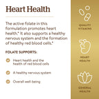 Solgar active folate dietary supplement showing product directions and safety warning label