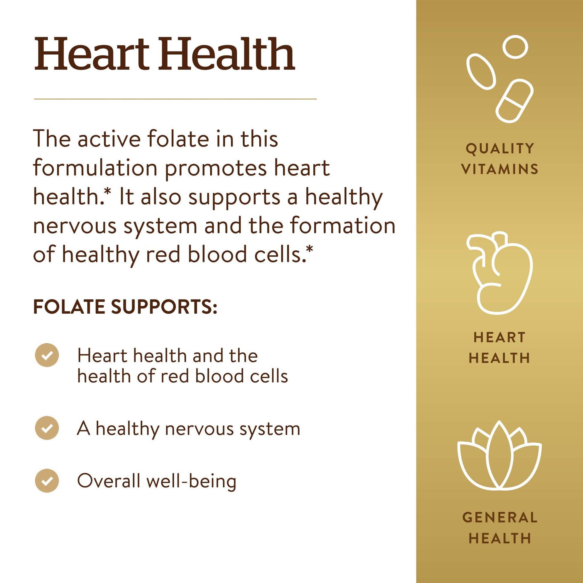 Solgar active folate dietary supplement showing product directions and safety warning label