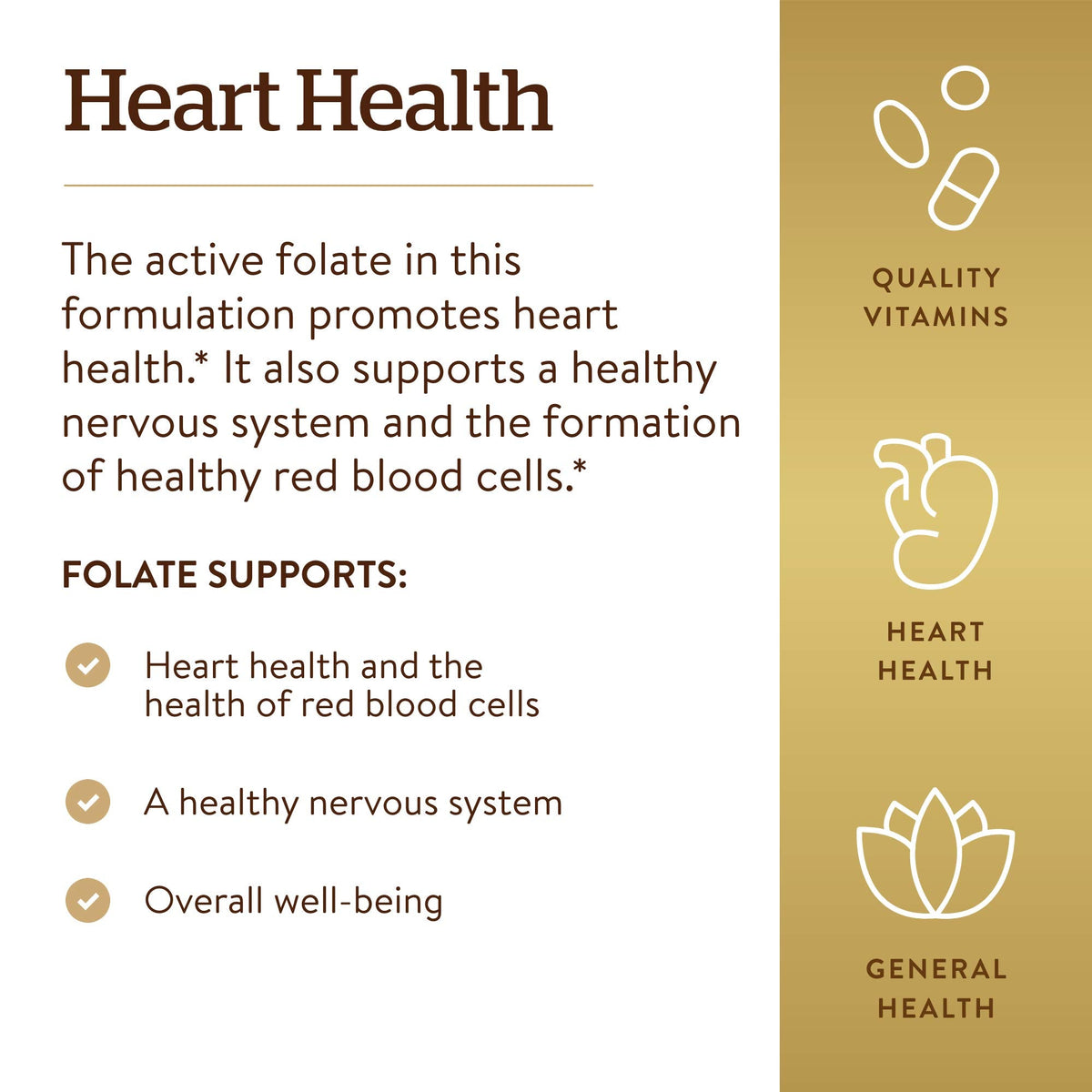 Solgar active folate dietary supplement showing product directions and safety warning label