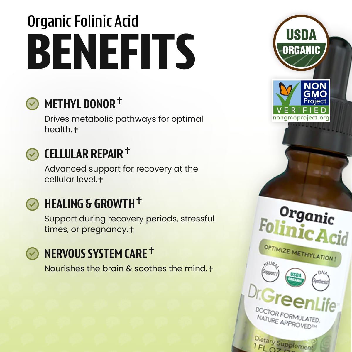 MTHFR friendly non synthetic folic acid alternative drops serving details