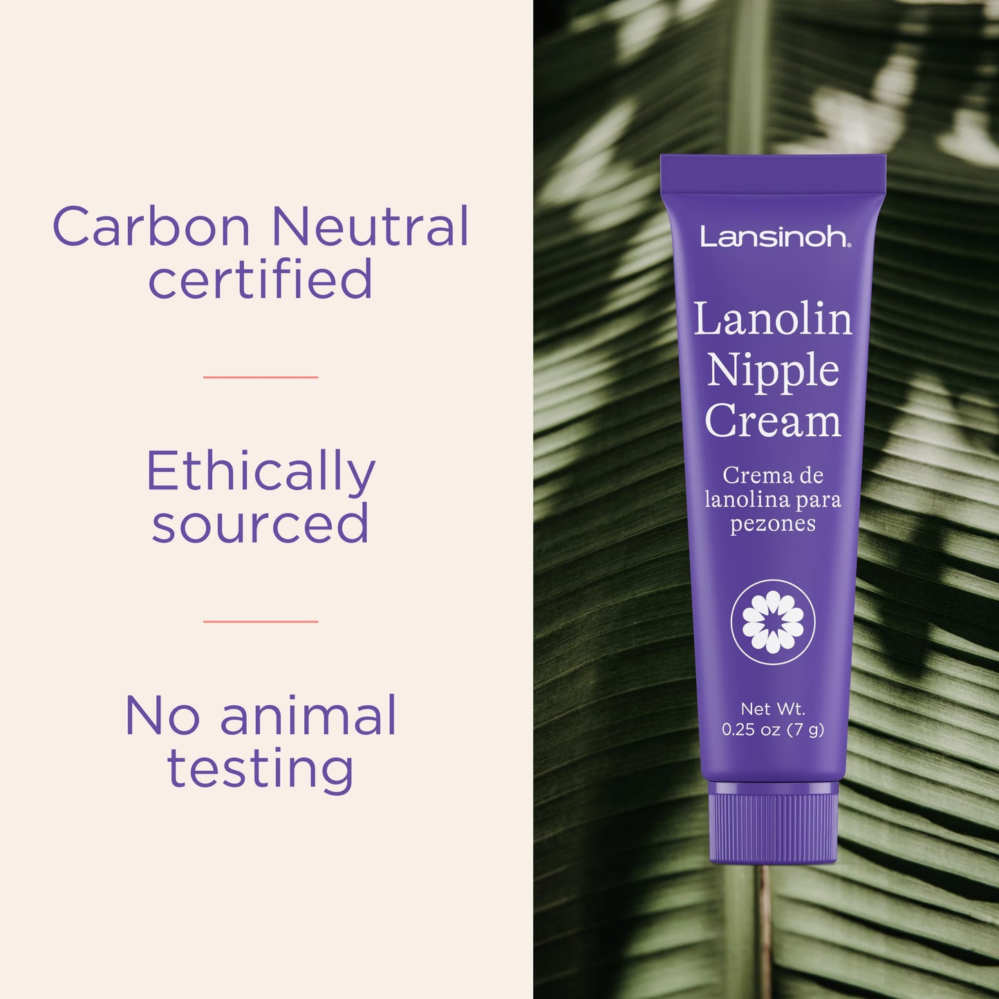 Lansinoh lanolin cream for breastfeeding mothers