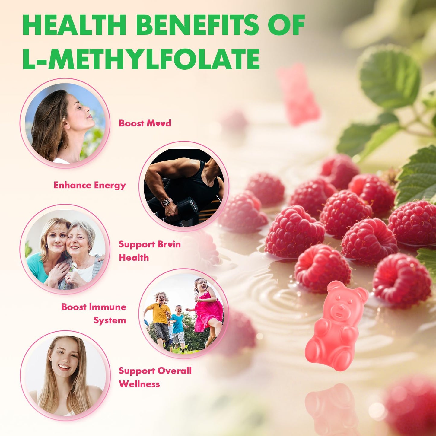 Back label of MEENCCD high potency 15 milligram folate dietary supplement for ingredient transparency.