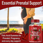 Authentic USA imported Beary Fine prenatal vitamins bottle highlighting the 400mcg dosage instruction