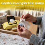 Bella B breast wipes used for pumping equipment cleaning