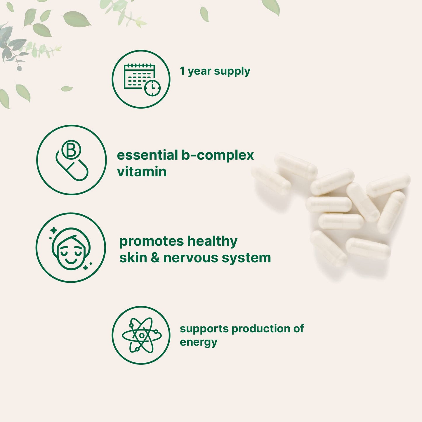 Micro Ingredients B5 supplement label details for energy support